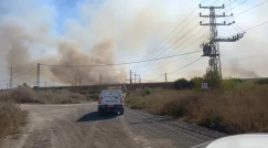 فيديو: حريق كبير في الأحراش قرب اللد 